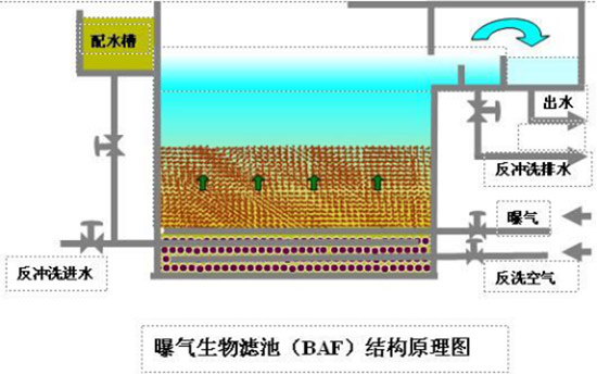 珂勒曦无油螺杆鼓风机应用气水反冲