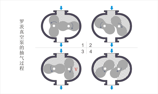 罗茨的抽气过程