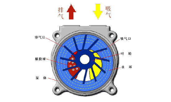 液环式真空泵工作原理