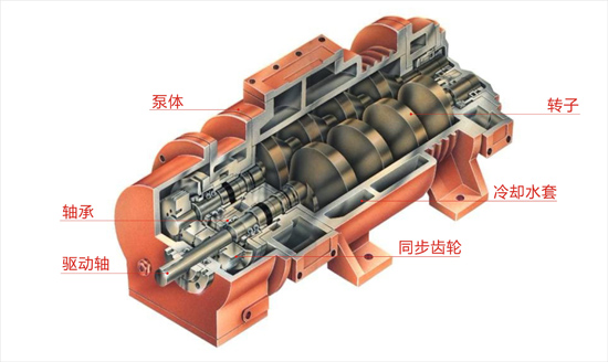 容积式真空泵知多少——螺杆式真空泵