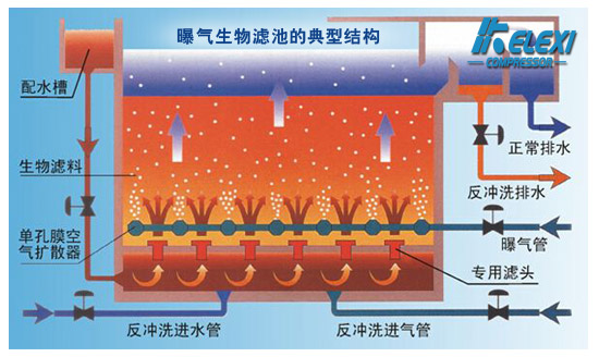 珂勒曦小课堂：气水反冲洗鼓风机应用