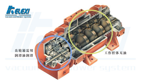 珂勒曦小课堂：正确理解无油螺杆真空泵的“无油”