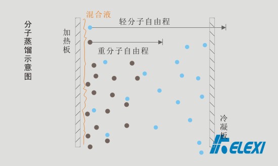 分子蒸馏与其他真空蒸馏在原理上的差异