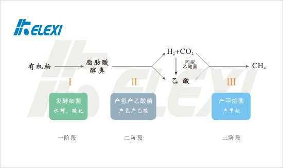 厌氧生物处理三阶段理论