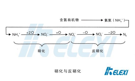 污水处理中的硝化与反硝化是指什么