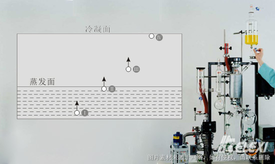 分子蒸馏过程