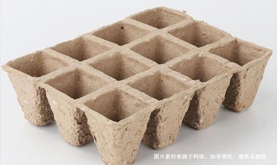 真空度对纸浆模塑产品质量的影响
